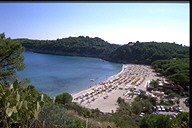 Playa de Fetovaia -  Isla de Elba - Toscana - Italia